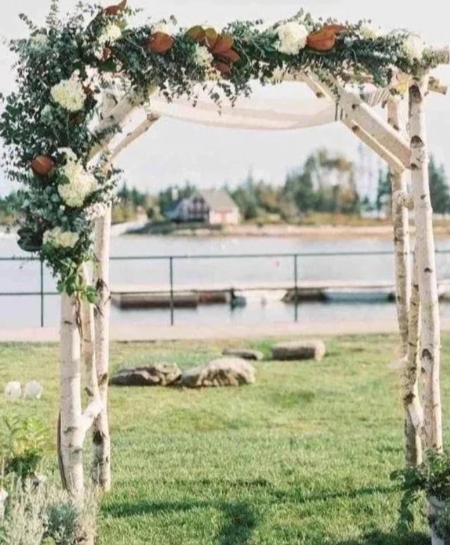 Birch Arch Large